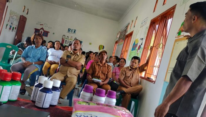 Kadis PMD Toba Sosialisasi Peningkatan Ketahanan Pangan di Desa Siregar Aek Nalas