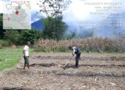 Bhabinkamtibmas Turun Langsung Bantu Membersihkan Lahan Jagung Milik Warga di Desa Jangga Toruan
