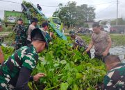 Polresa Toba Bersama Kodim 0210/TU dan Masyarakat Saling Bahu Membahu Bersihkan Eceng Gondok di Danau Toba