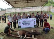 Polres Toba Laksanakan Pemotongan Hewan Qurban,Kapolres Toba: Smoga Membawa Berkah Bagi Kita Semua.