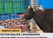 Rutan Balige Gelar Shalat Idul Adha.