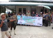 Pemkab Toba Serahkan Hewan Qurban Sumbangan Presiden dan Gubsu.
