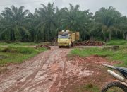 Masyarakat Soroti Perkebunan Sawit PT PAL; Diduga Beroperasi Sejak 2007 Tampa HGU dan Abaikan Kewajiban Plasma