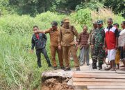 Respons Cepat Bupati Tapanuli Utara, Tinjau Jembatan Putus dan Temui Warga Garoga