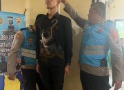 Transparan, Bersih, dan Humanis; Seleksi Penerimaan Polri di Polres Toba Mulai Digelar