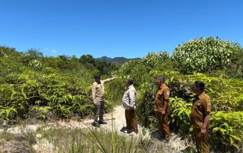 Sinergi Lintas Provinsi, Bupati JTP Hutabarat Tinjau Pemulihan Jalan BKPSU dan Lokasi Huntap Bantuan Gub Jabar