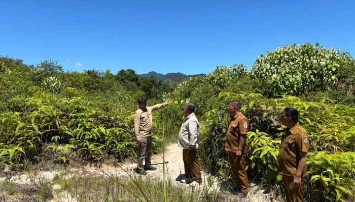 Sinergi Lintas Provinsi, Bupati JTP Hutabarat Tinjau Pemulihan Jalan BKPSU dan Lokasi Huntap Bantuan Gub Jabar