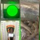 WARUNG TUAK DI BALIGE DIGEREBEK, POLRES TOBA TEMUKAN RATUSAN GRAM GANJA SIAP EDAR