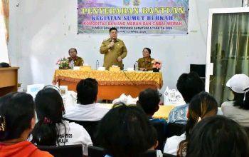 Hasil Kolaborasi Sumut Berkah, Bupati Samosir Serahkan Bantuan Bibit Pengembangan Cabai dan Bawang Merah