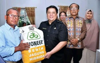 Pemkab Samosir Salurkan Bibit Jagung untuk 50 Hektare, Bupati: Jangan Dijual, Manfaatkan Maksimal