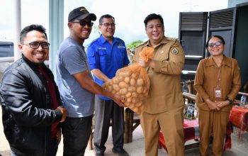 Bupati Samosir Ajak Kelompok Tani Buktikan Keberhasilan Program Kolaborasi Sumut Berkah, 5 ton bibit kentang disalurkan