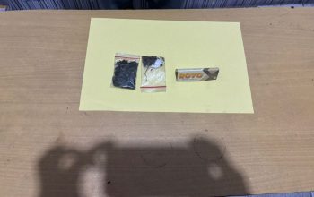 Bawa Ganja ke Sekolah, Seorang Siswa SMA di Ajibata Diamankan Polisi