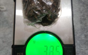 Seorang Pemuda Pengedar Narkoba Dibekuk Drugs Wolfa Polres Toba di Habinsaran