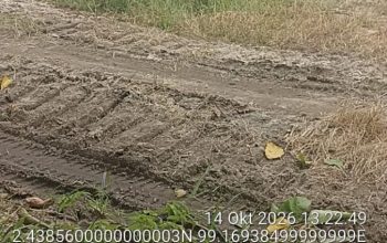 Diduga Ilegal Galian C di Parparean Bebas Beroperasi: Pengawasan Dinas Terkait Dipertanyakan, Jalan Rakyat Rusak